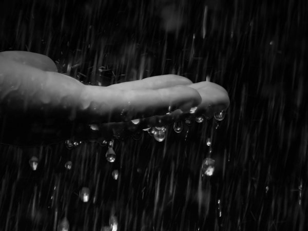 Плачет дождь