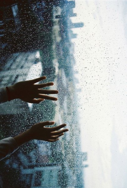 Ладонь под дождем