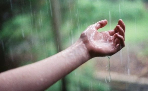 Дождь на ладони