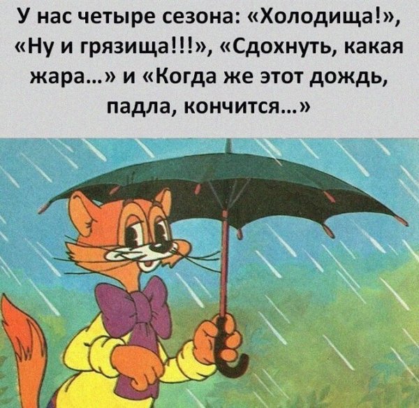 У нас 4 сезона холодища