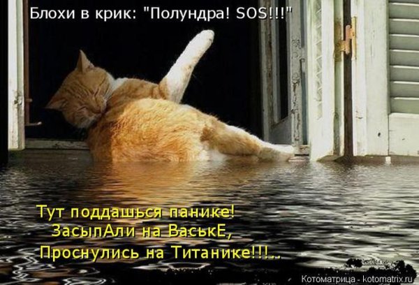 А У нас дождь идет