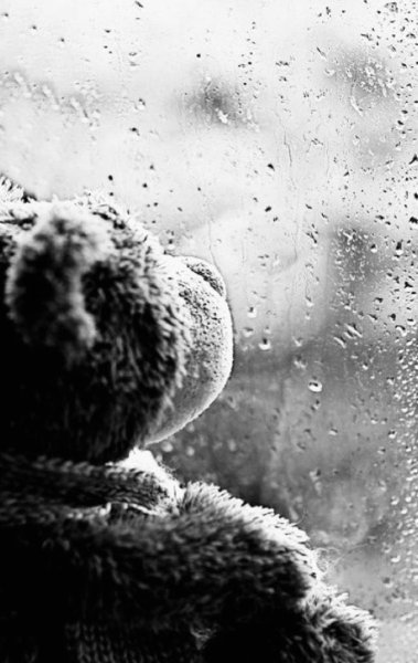 Плюшевый мишка под дождем