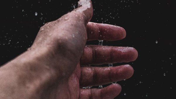 Дождь на ладони