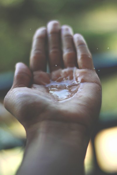 Капля на ладони