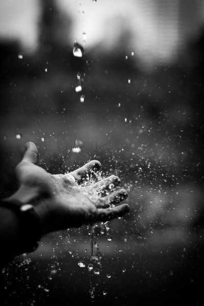 Черно белый дождь