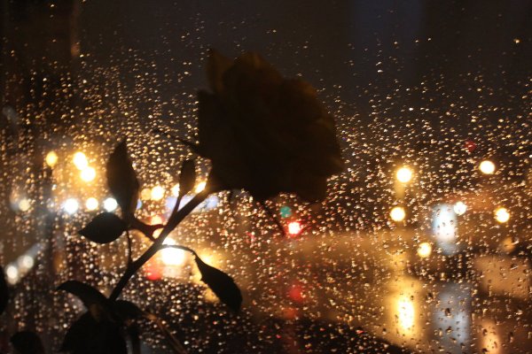 Ночной дождь