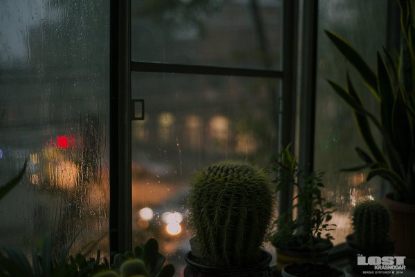 Дождь в окне