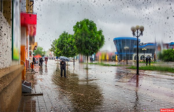 Весенний дождь в городе