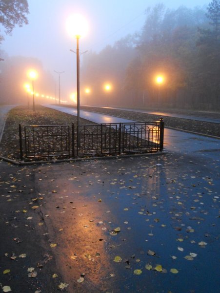 Дождливый осенний вечер