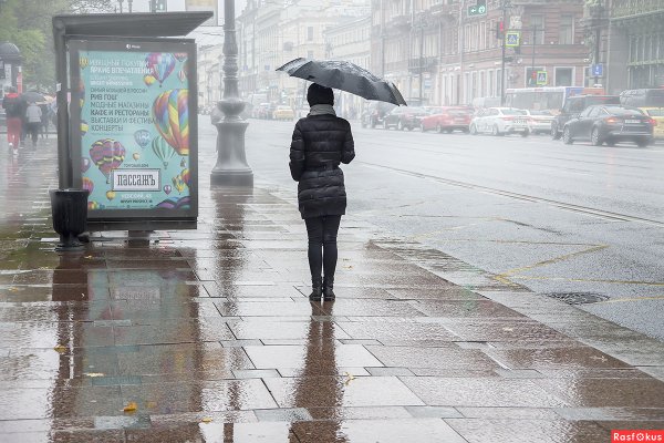 В ожидании дождя