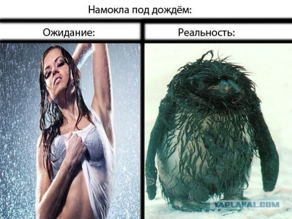 Фотосессия под дождем ожидание реальность