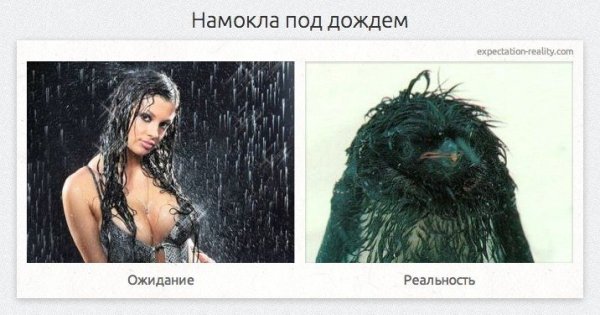 Дождь ожидание реальность