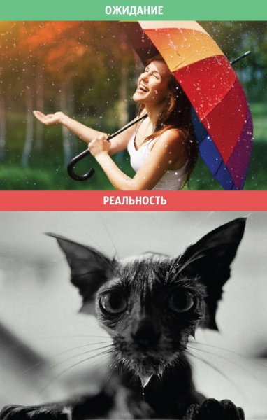 Ожидание и реальноожид