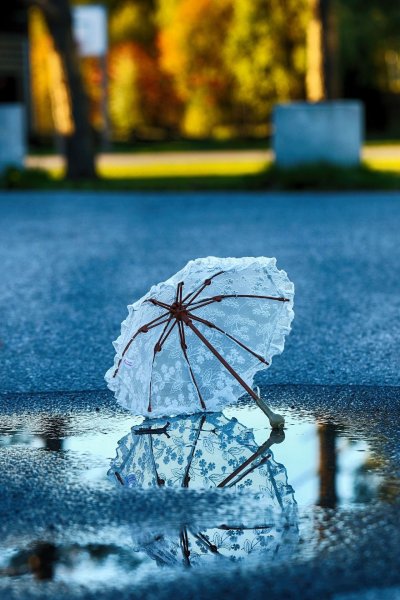 Дождливая осень