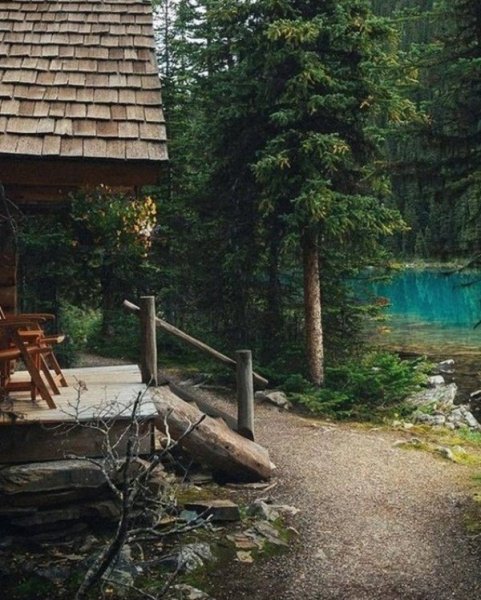 На крыльце домика в лесу