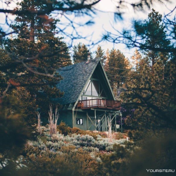 Уютный домик в лесу
