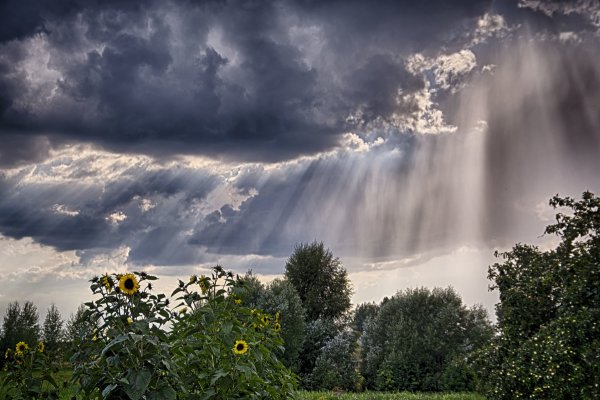 Туча с дождем