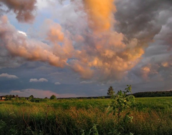 Тучи летом