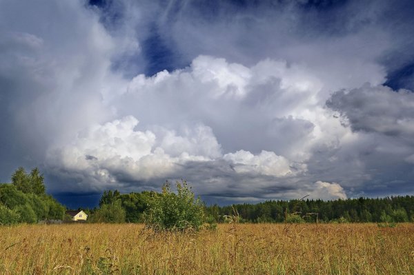 Лето перед дождем