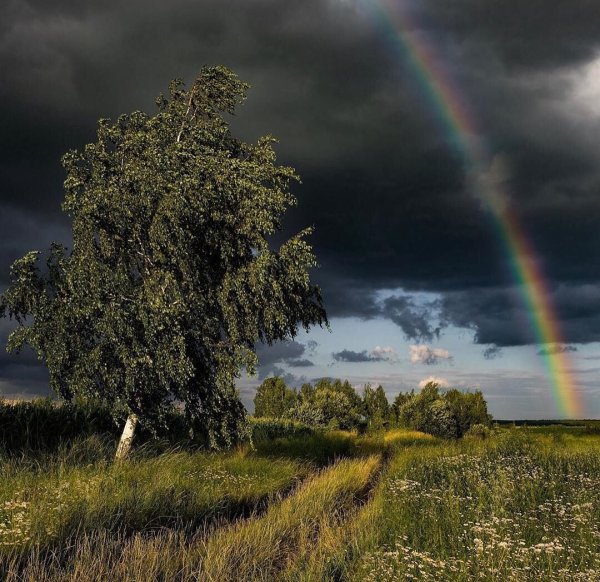 Радуга на грозовом небе