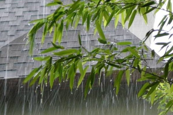 Дождь под крышей