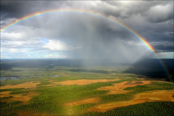 Дождь для радуги