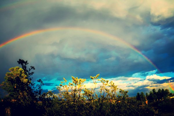 Дождь для радуги