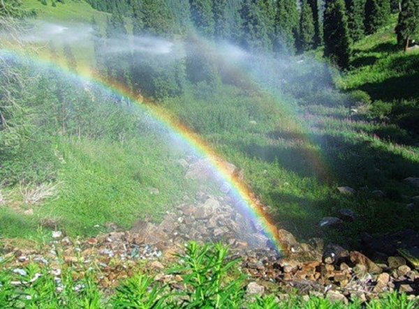 Дождь для радуги