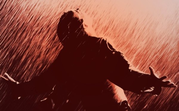 Побег из Шоушенка Энди под дождем