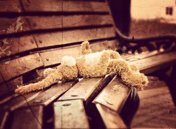 Брошенная игрушка под дождём