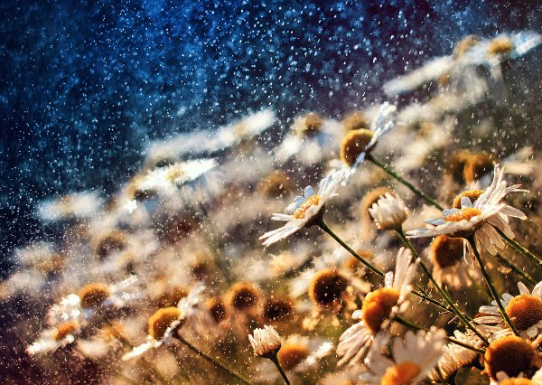 Лето солнце дождь