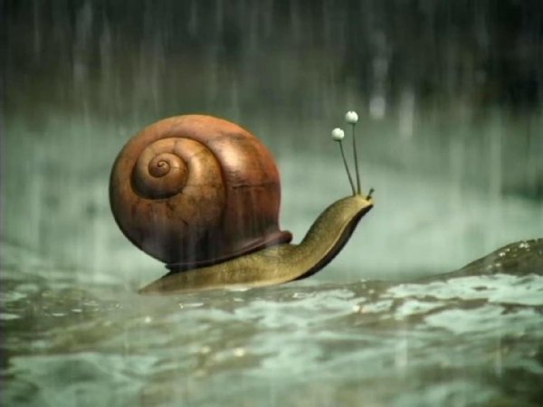 Минускулы улитка