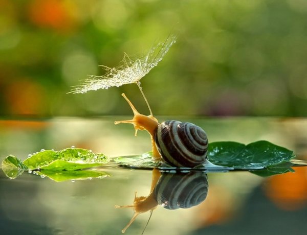 Вячеслав Мищенко