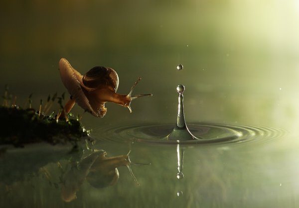 Красивые мгновения жизни