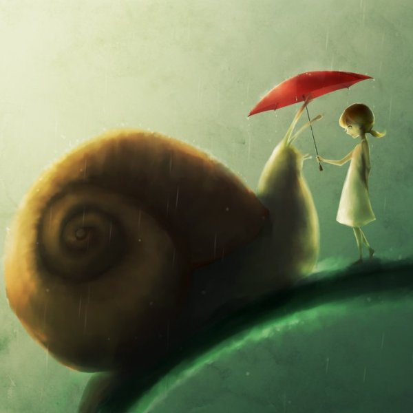 Улитки любовь