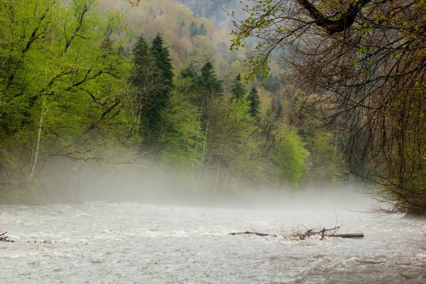 Дождь на озере