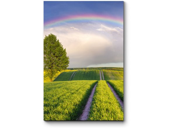 После дождя всегда Радуга