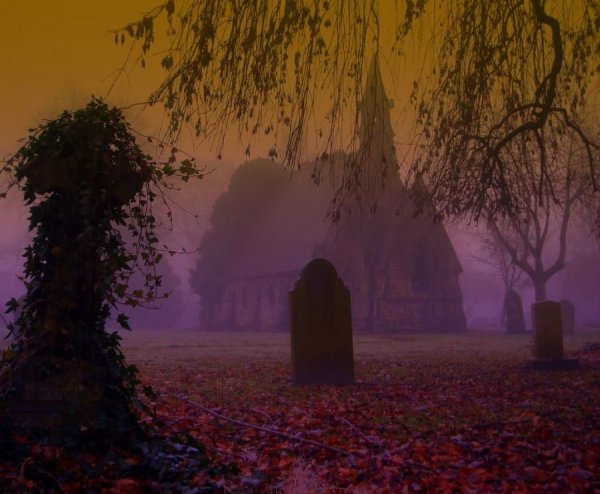 Туман Готика