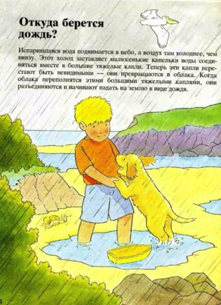 Откуда берется вода