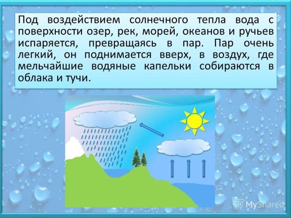 Откуда берется дождь