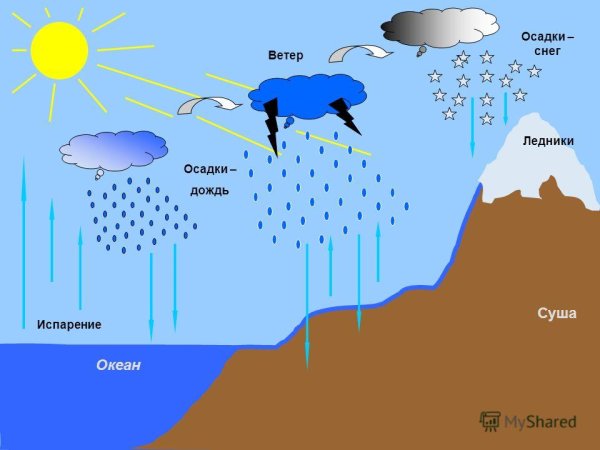 Образование осадков для детей