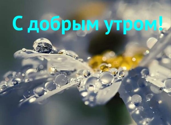 Доброе утро капелька