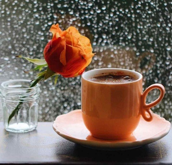 С добрым ноябрьским утром