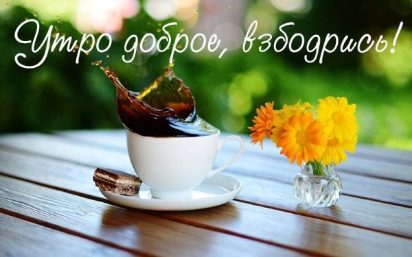С добрым летним утром четверга