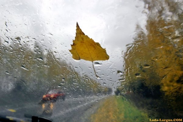 Сильный дождь осень