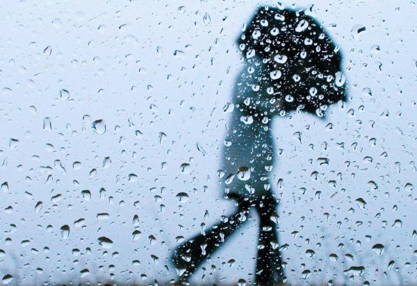 Дождь и ветер