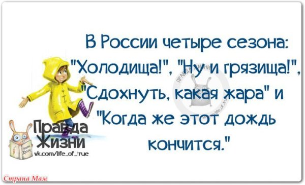 Смешные цитаты про дождь