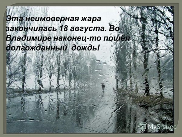 Долгожданный дождь