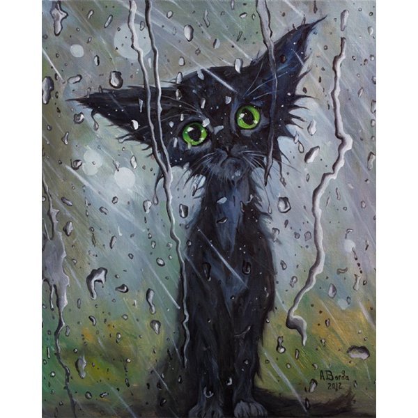 Злой кот под дождем