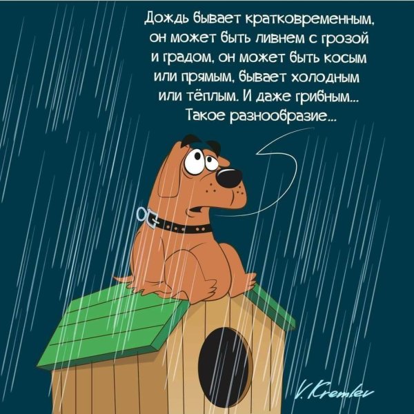 Дождь надоел